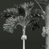 New Plant High detail Areca Catechu Decorative Garden Fruit - Thumbnail 4