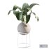 Indoor plant colection 01 - Thumbnail 4