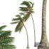 New Plant High detail Cocos Nucifera Medium Windy - Thumbnail 2