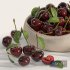 Cherry dish - Thumbnail 3