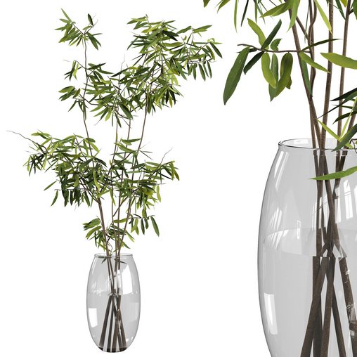 Ficus branches bouquet set 01