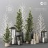 Christmas Decoration Set - Thumbnail 1