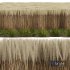 HQ Plants Calamagrostis Acutiflora Karl Foerster pruned - Thumbnail 3