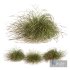 HQ Plants Stipa arundinacea Anemanthele lessoniana Windy - Thumbnail 1