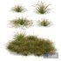 HQ Plants Stipa arundinacea Anemanthele lessoniana Little - Thumbnail 1