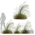 HQ Plants Stipa arundinacea Sweet Grass Windy - Thumbnail 1