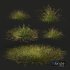 HQ Plants Stipa arundinacea Anemanthele lessoniana Little - Thumbnail 2