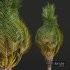 New Plant High detail Phoenix Canariensis Washingtonia Robusta - Thumbnail 2
