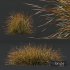 Plants Carex Testacea Orange Sedge Grass Prairie Fire - Thumbnail 3