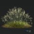 Plants Stipa arundinacea Sweet Grass Wide - Thumbnail 3