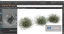 HQ Plants Carex Elata Aurea Grass Version2 - Thumbnail 8