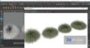 Plants Carex Elata Aurea Grass Version4 - Thumbnail 6