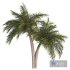 Palm Tree Set 02 - Thumbnail 2