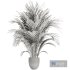 Areca palm plant - Thumbnail 4