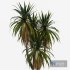 Palm Tree Set 01 - Thumbnail 2