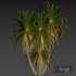 Palm Tree Set 01 - Thumbnail 5