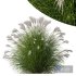 Plants Miscanthus Nepalensis Sinensis Sarabande Adagio Version05 - Thumbnail 1