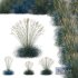 Plants Helictotrichon Sempervirens Pendula Avoine Blue Version05 - Thumbnail 1