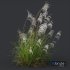 Plants Miscanthus Nepalensis Sinensis Sarabande Adagio Version02 Windy - Thumbnail 4