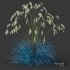 Plants Helictotrichon Sempervirens Pendula Avoine Blue Version03 - Thumbnail 2