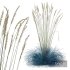 Plants Helictotrichon Sempervirens Pendula Avoine Blue Version05 - Thumbnail 4