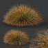 HQ Plants Carex Testacea Orange Sedge Grass Prairie Fire Version4 - Thumbnail 3