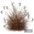 Plants Miscanthus Nepalensis Sinensis Sarabande Adagio Version06 - Thumbnail 4