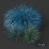 Plants Helictotrichon Sempervirens Pendula Avoine Blue - Thumbnail 3