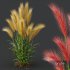 Plants Hordeum Jubatum Foxtail Barley Ornementale Orge - Thumbnail 3