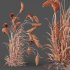 Plants Hordeum Jubatum Foxtail Barley Ornementale Orge Version04 Windy - Thumbnail 4