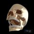 Skull - Thumbnail 1