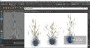 Plants Helictotrichon Sempervirens Pendula Avoine Blue Version04 - Thumbnail 6
