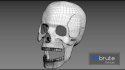 Skull - Thumbnail 2