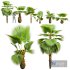 New Plant High detail Pritchardia Pacifica Small Garden Decorative - Thumbnail 1