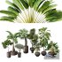 Decorative set of all kinds of shrubs with pots - Thumbnail 1