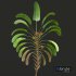 New Plant High detail Strelitzia Nicolai - Thumbnail 2