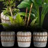 Interior Plant Collection01 - Thumbnail 3