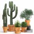Indoor Plants Cactus In Clay Pot Set 04 - Thumbnail 1