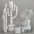 Indoor Plants Cactus In Clay Pot Set 04 - Thumbnail 6