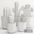 Cactus Indoor Plants Set 05 - Thumbnail 7