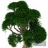 Tree 02 - Thumbnail 1