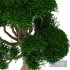Tree 02 - Thumbnail 7