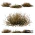Carex Testacea Orange Sedge Grass Prairie Fire - Thumbnail 2