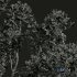 New Plant High detail Cinnamomum Camphora - Thumbnail 4