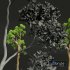 New Plant High detail Cinnamomum Camphora Decorative - Thumbnail 5