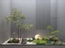 Modern Plant Potting Landscape - Thumbnail 1