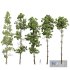 pine trees- 5 different trees - Thumbnail 1