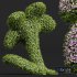 New Plant Bacopa Diffusa Sutera Decorative - Thumbnail 2