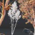 HQ Plants Betula Pendula03 - Thumbnail 3