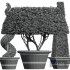 New Plant Ficus Concinna Bonsai Pruned14 - Thumbnail 4